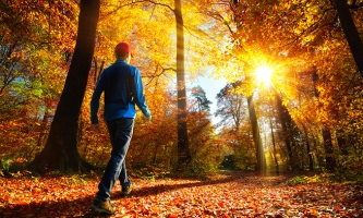 Hiker in the autumn forest with glorious sunlight